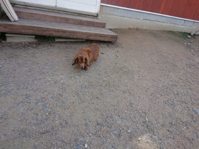 f:id:roukenhome-ann:20190613143925j:plain