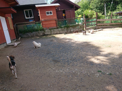 f:id:roukenhome-ann:20190613143930j:plain