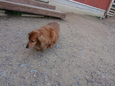 f:id:roukenhome-ann:20190613143941j:plain