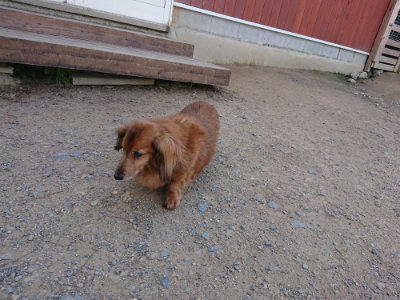 f:id:roukenhome-ann:20190613144024j:plain