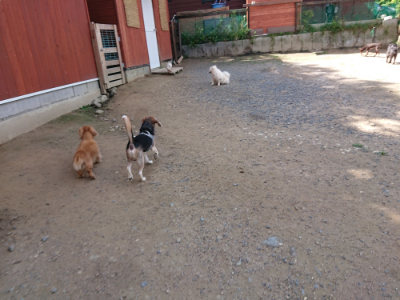 f:id:roukenhome-ann:20190613144029j:plain