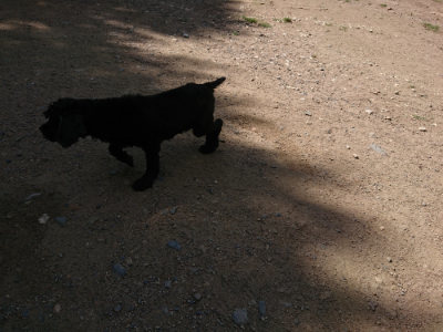 f:id:roukenhome-ann:20190613144042j:plain