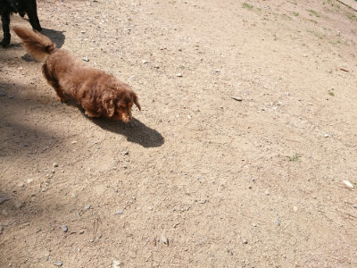 f:id:roukenhome-ann:20190613144102j:plain