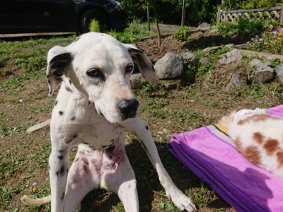 f:id:roukenhome-ann:20190613145650j:plain