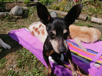 f:id:roukenhome-ann:20190613145655j:plain