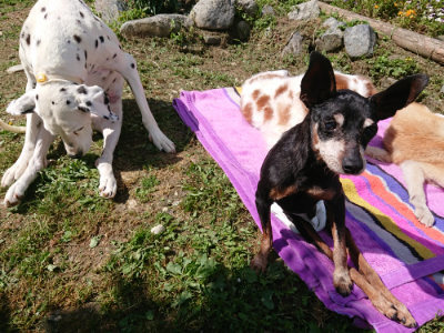 f:id:roukenhome-ann:20190613145710j:plain