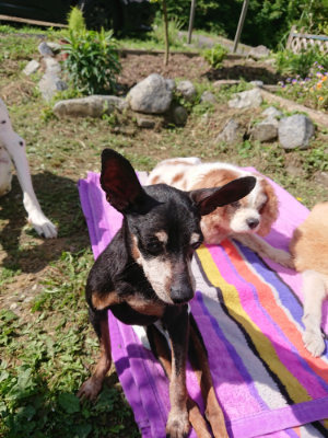 f:id:roukenhome-ann:20190613145717j:plain