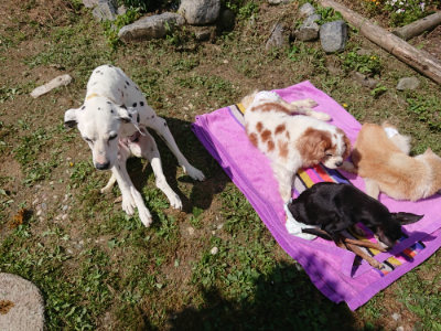 f:id:roukenhome-ann:20190613145722j:plain