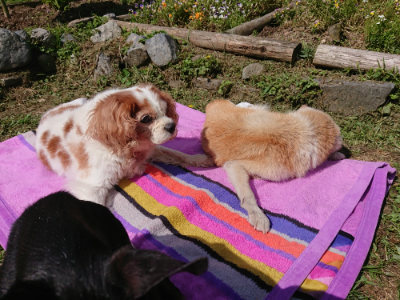 f:id:roukenhome-ann:20190613145727j:plain