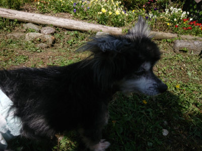 f:id:roukenhome-ann:20190613145733j:plain