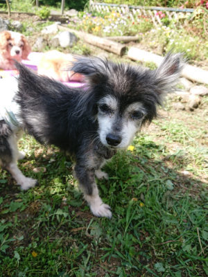 f:id:roukenhome-ann:20190613145742j:plain