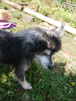 f:id:roukenhome-ann:20190613145747j:plain