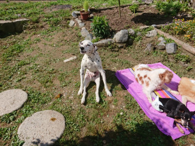 f:id:roukenhome-ann:20190613145812j:plain