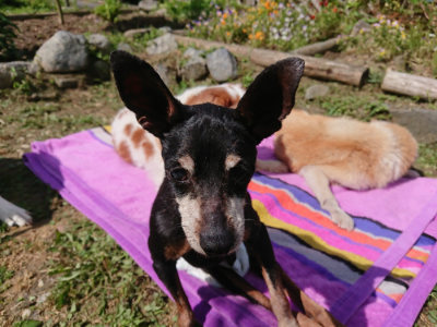 f:id:roukenhome-ann:20190613145836j:plain