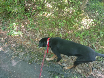 f:id:roukenhome-ann:20190613152025j:plain