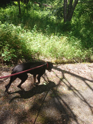 f:id:roukenhome-ann:20190613152101j:plain