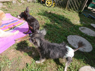 f:id:roukenhome-ann:20190613152201j:plain