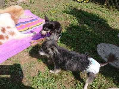 f:id:roukenhome-ann:20190613152207j:plain