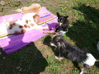 f:id:roukenhome-ann:20190613152227j:plain