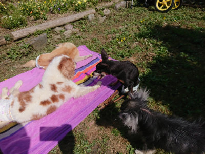 f:id:roukenhome-ann:20190613152246j:plain