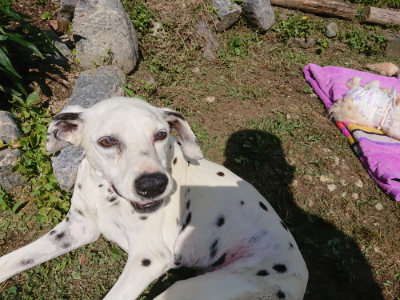 f:id:roukenhome-ann:20190613152256j:plain