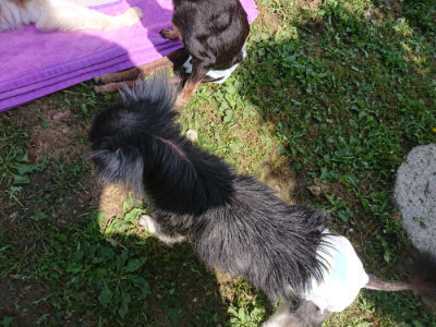 f:id:roukenhome-ann:20190613152330j:plain