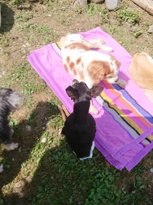 f:id:roukenhome-ann:20190613152332j:plain