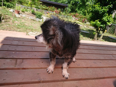 f:id:roukenhome-ann:20190613153111j:plain