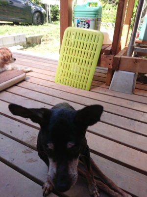 f:id:roukenhome-ann:20190613153238j:plain