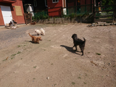 f:id:roukenhome-ann:20190613201106j:plain