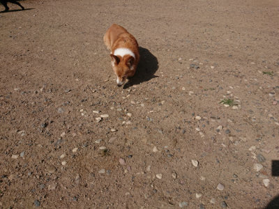 f:id:roukenhome-ann:20190613201112j:plain