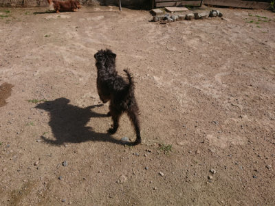 f:id:roukenhome-ann:20190613201117j:plain