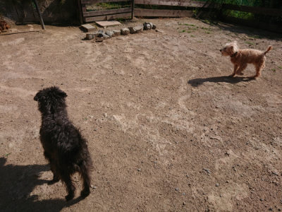 f:id:roukenhome-ann:20190613201123j:plain