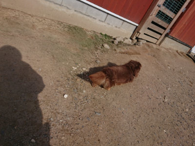 f:id:roukenhome-ann:20190613201128j:plain