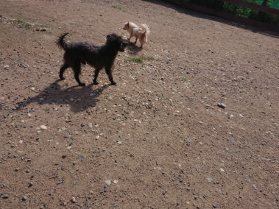 f:id:roukenhome-ann:20190613201140j:plain