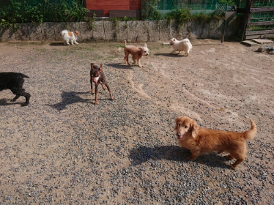 f:id:roukenhome-ann:20190613201205j:plain