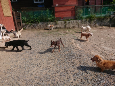 f:id:roukenhome-ann:20190613201210j:plain