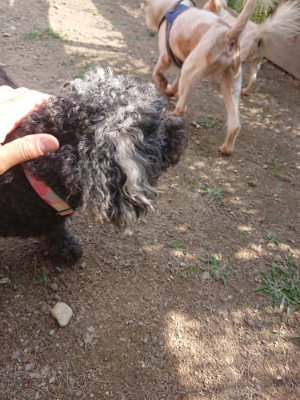 f:id:roukenhome-ann:20190613201215j:plain