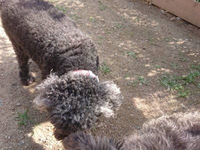 f:id:roukenhome-ann:20190613201221j:plain