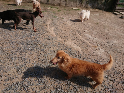 f:id:roukenhome-ann:20190613201227j:plain