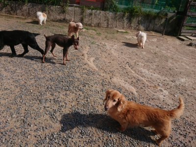 f:id:roukenhome-ann:20190613201232j:plain