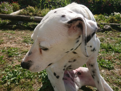 f:id:roukenhome-ann:20190613201254j:plain