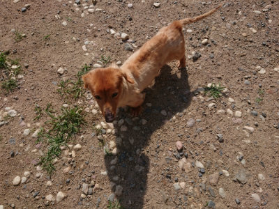 f:id:roukenhome-ann:20190613201304j:plain