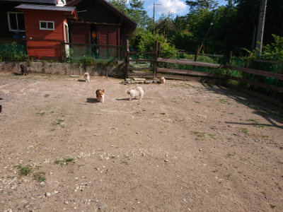 f:id:roukenhome-ann:20190613201310j:plain