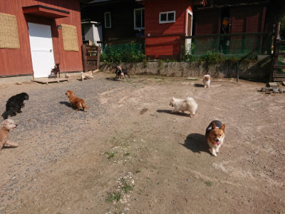 f:id:roukenhome-ann:20190613201314j:plain