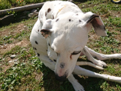 f:id:roukenhome-ann:20190613201328j:plain