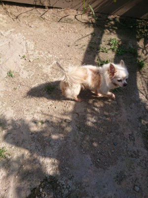 f:id:roukenhome-ann:20190613201342j:plain