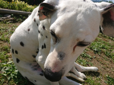 f:id:roukenhome-ann:20190613201351j:plain