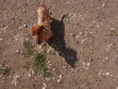 f:id:roukenhome-ann:20190613201404j:plain