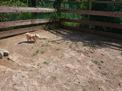 f:id:roukenhome-ann:20190613201410j:plain